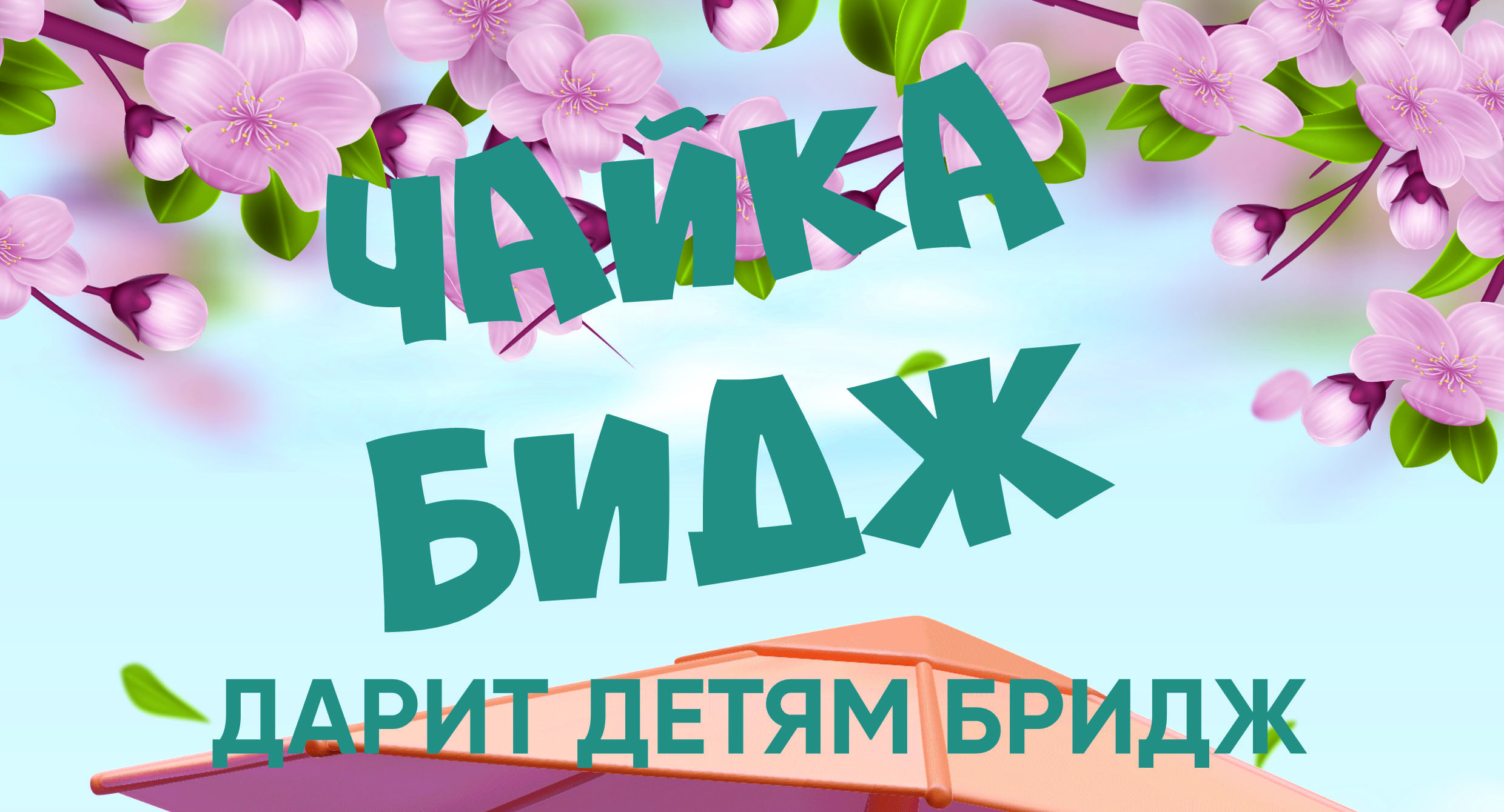 Акция Чайка Бидж дарит детям Бридж — семейный отдых в Сочи